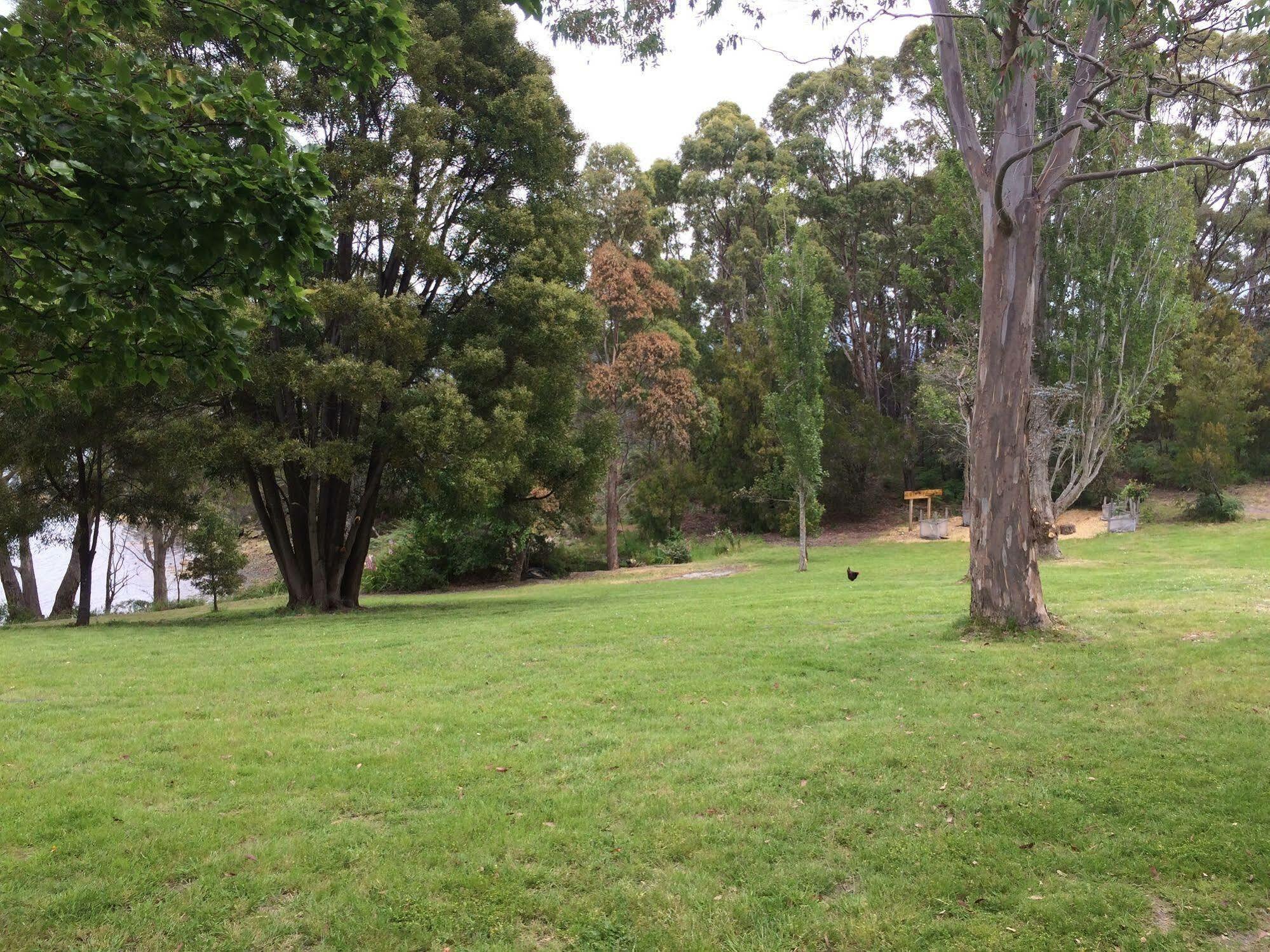 Tranquil Point Guest House Cygnet Exterior photo
